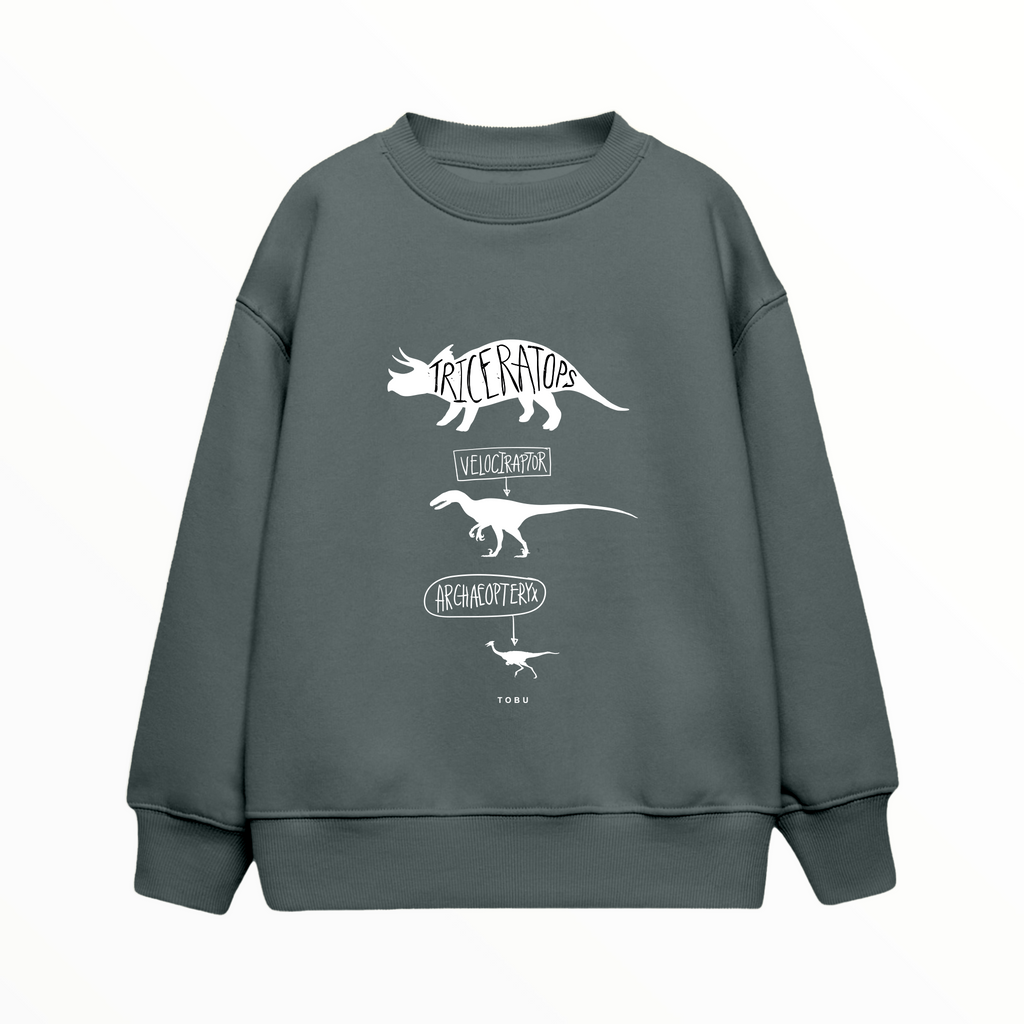 Çocuk Sweatshirt / Dinosaurs