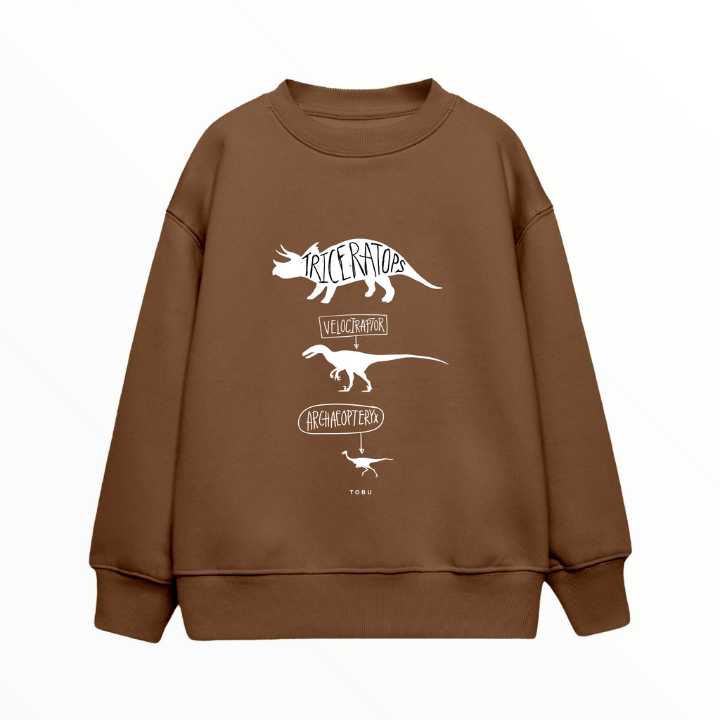 Çocuk Sweatshirt / Dinosaurs