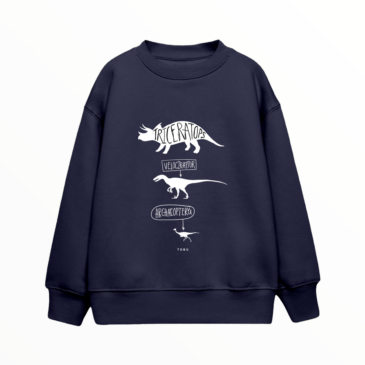 Çocuk Sweatshirt / Dinosaurs