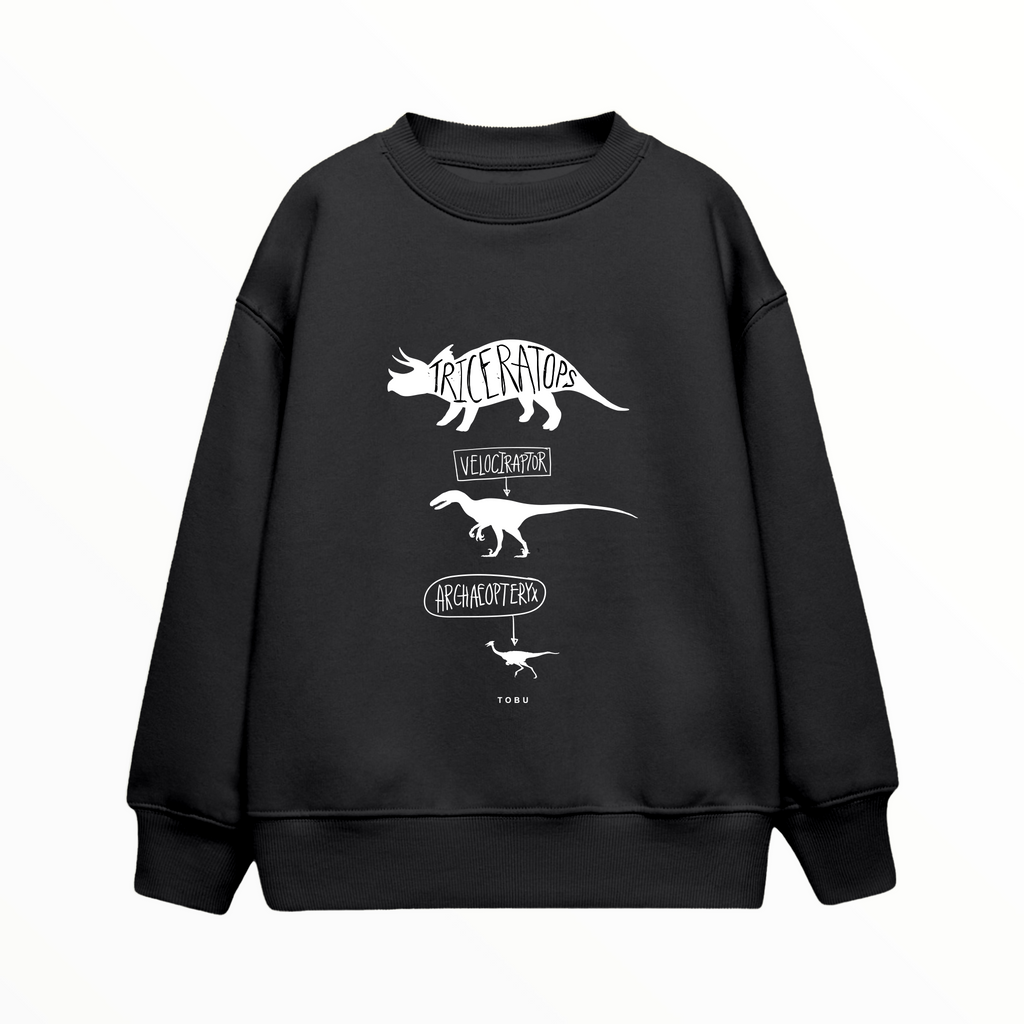 Çocuk Sweatshirt / Dinosaurs