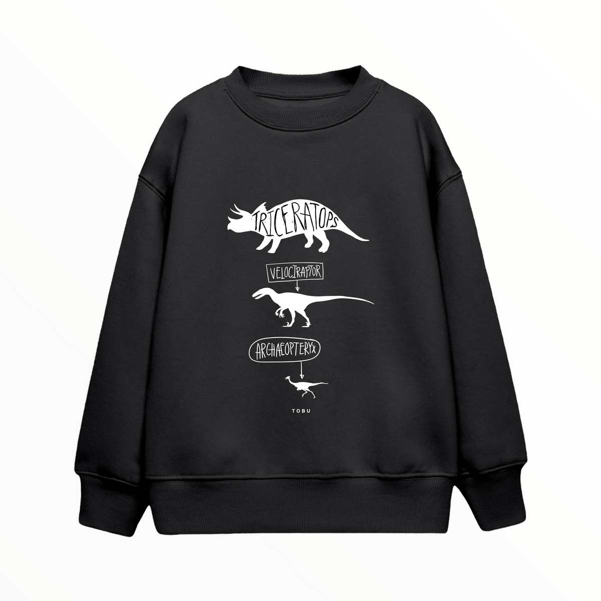 Çocuk Sweatshirt / Dinosaurs