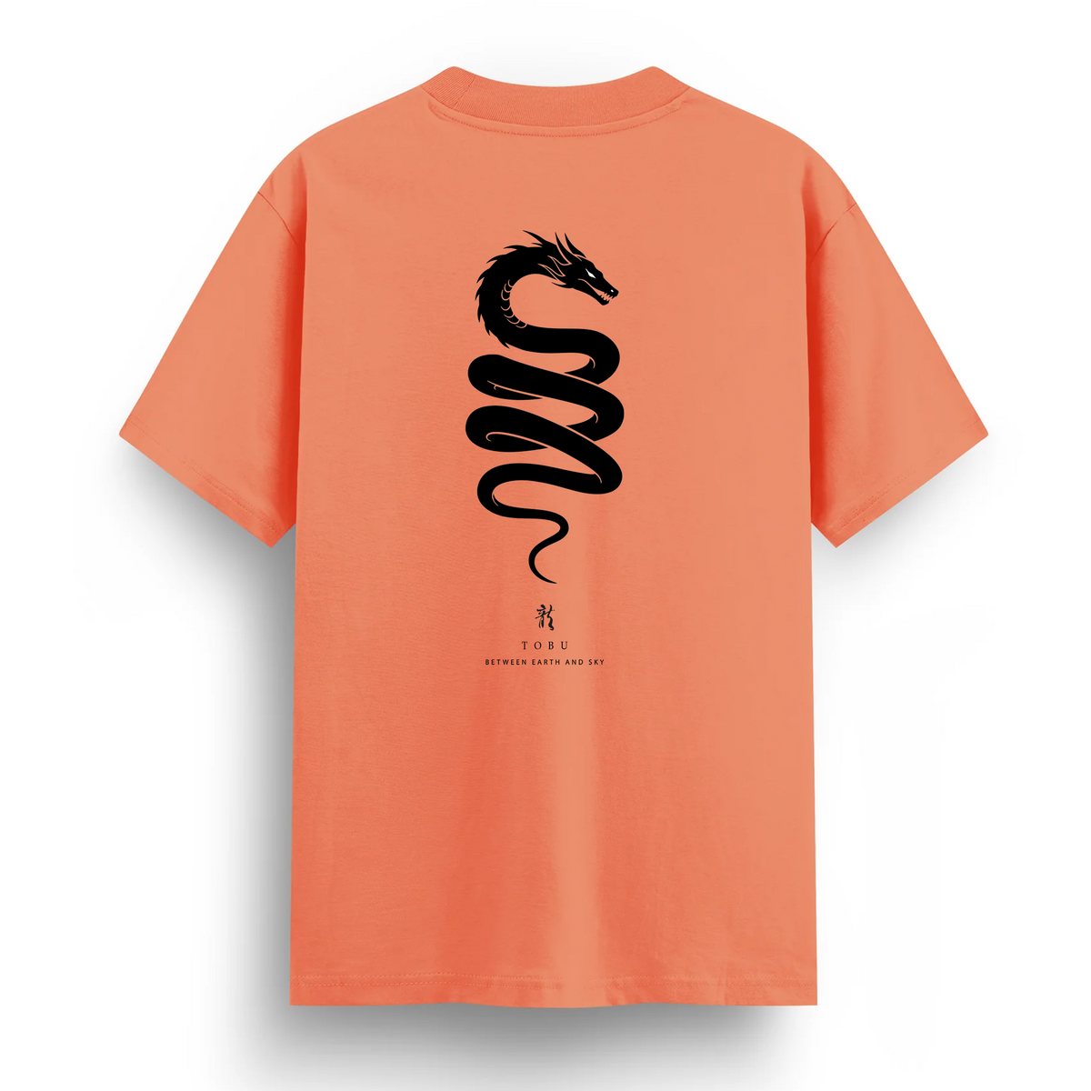 Regular T-shirt / Dragon