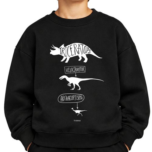 Çocuk Sweatshirt / Dinosaurs